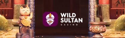 Wild Sultan Casino